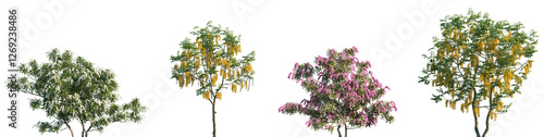 Fotografía Set of Pieris japonica and Cassia fistula frontal isolated png on a transparent