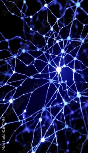 Neural Network Visualization