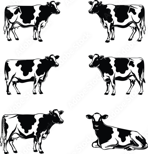 Set of black and white cows silhouettes. Vector illustration isolated on white background.