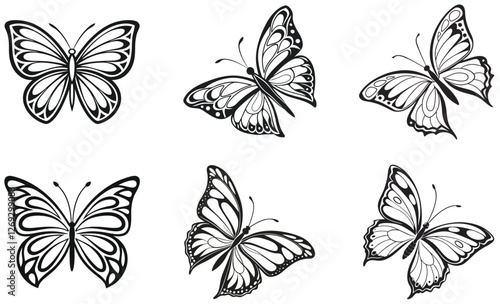 Butterfly Vector Set Elegant Black and White Outline Illustrations of Flying Insects with Decorative Wing Patterns