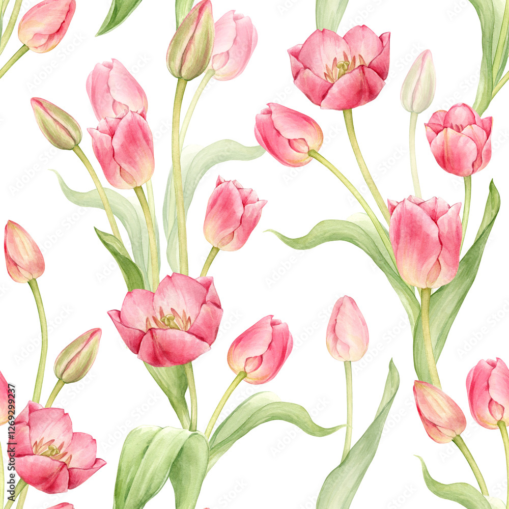 Pink tulips in a seamless pattern. Spring flowers in a complex pattern for textiles and packaging. Watercolor illustration is hand drawn and isolated from the background Pink tulips in a seamless pattern. Spring flowers in a complex pattern for textiles and packaging. Watercolor illustration is hand drawn and isolated from the background
