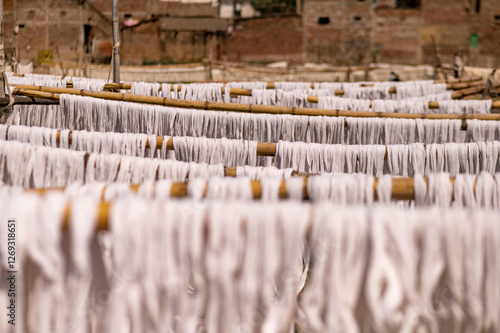 Photos Tussar Silk Production in Bihar – Traditional Sericulture, Cocoon Harvesting, Ha