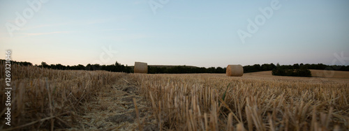 Idyllische ländliche Landschaft mit einem abgeernteten Weizenfeld mit runden Strohballen bei Sonnenaufgang. Perfekt für landwirtschaftliche und naturbezogene Inhalte photo