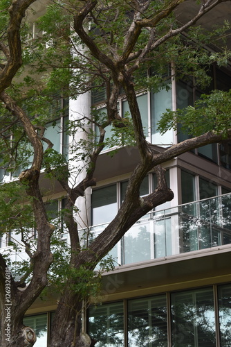 Tropical architecture with garden in the front yard located in Singapore.