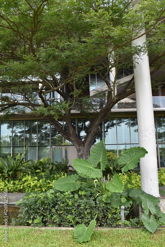 Tropical architecture with garden in the front yard located in Singapore.