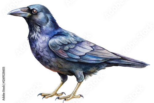 Watercolor raven illustration, detailed feathers, vibrant colors, artistic design, nature-inspired artwork, wildlife representation.