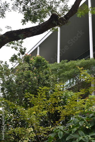 Tropical architecture with garden in the front yard located in Singapore.