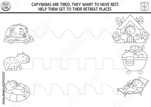 Vector black and white handwriting practice worksheet with capybaras. Printable line activity for kids with animals. Tracing game, coloring page. Help capibaras get to bath, house, sun lounger