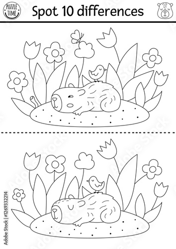 Find differences game for children. Capybara black and white educational activity with cute animal lying on flower clearing. Line puzzle for kids with capibara. Printable worksheet or coloring page