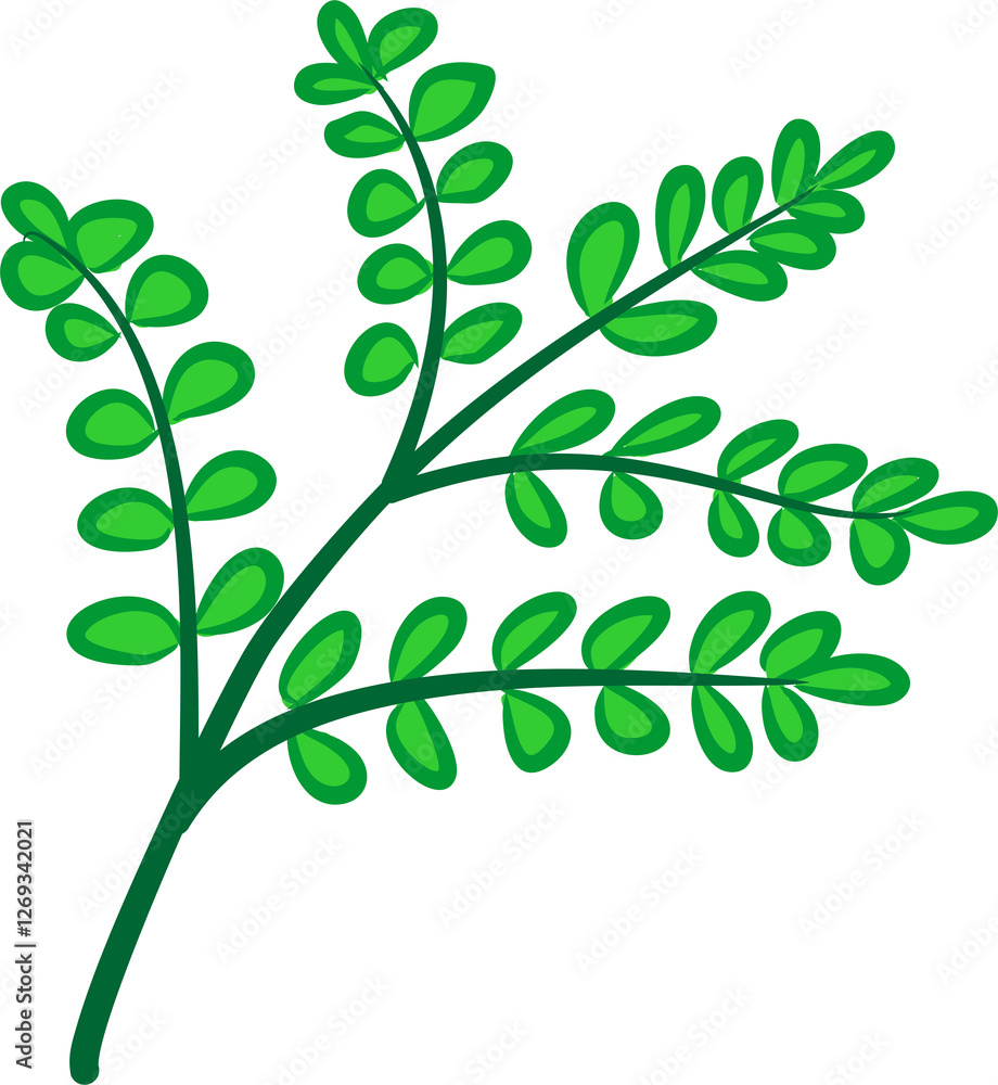 green leaves vector green leaves vector