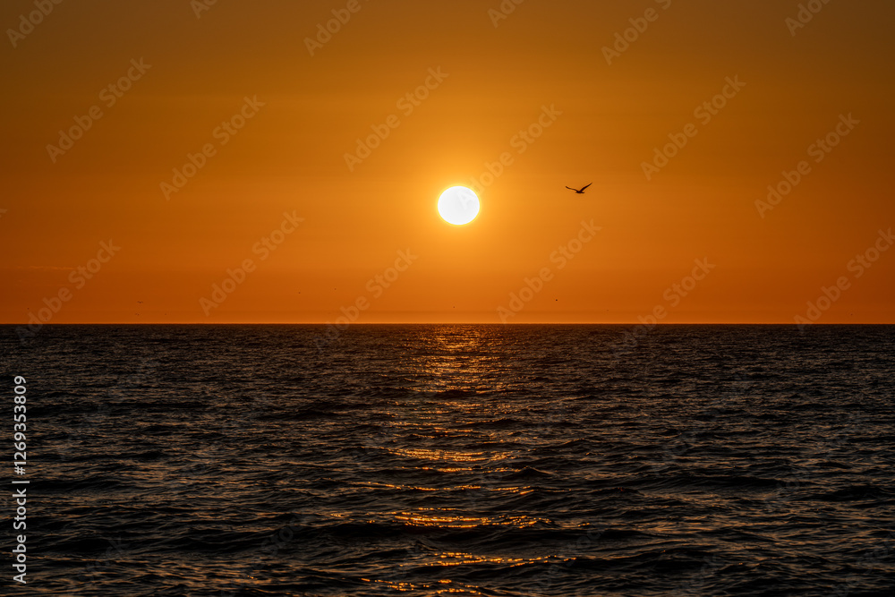 Sunset at Sea Sunset at Sea