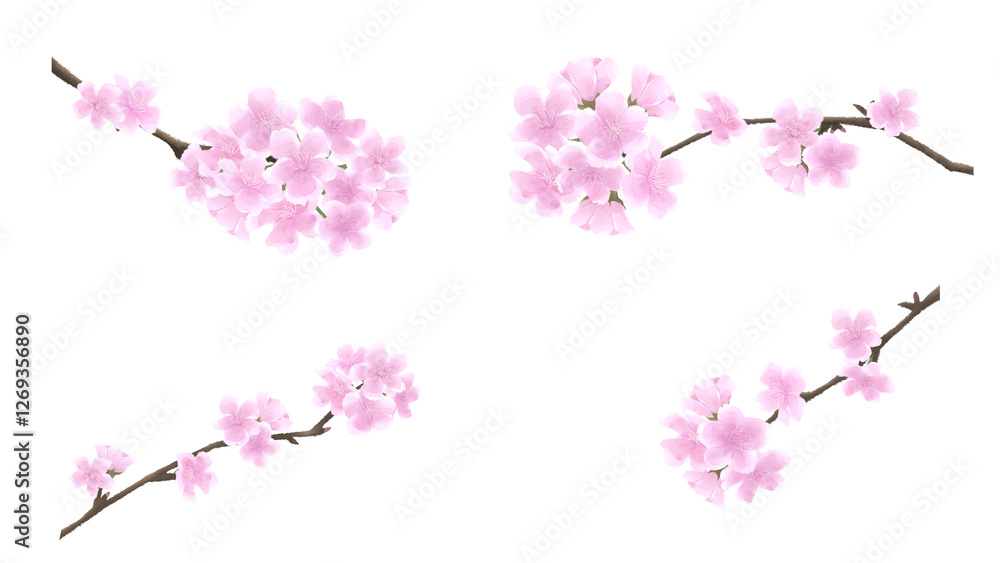 Obraz premium 水彩画風 枝付き桜の花セット