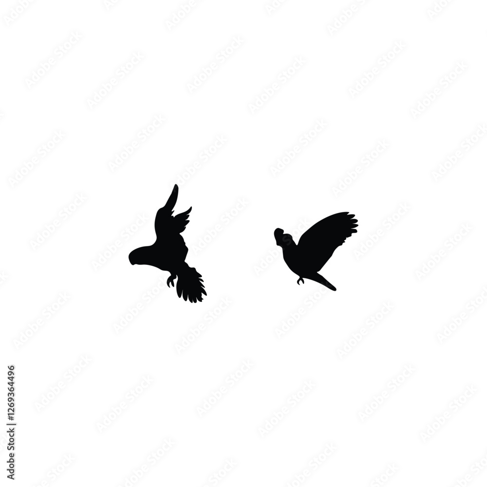 Obraz premium Bird silhouette