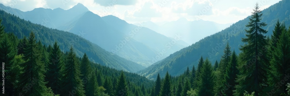 Fototapeta premium Dense forest with towering trees in the mountains, dense, landscape, scenery