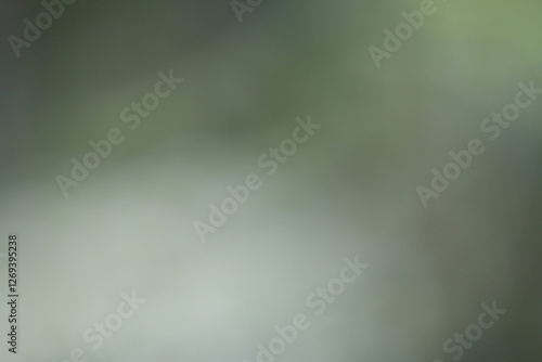 Green Gradient Background: A soft, muted green gradient background with subtle variations in shade, creating a calming and understated aesthetic. Perfect for presentations, websites.