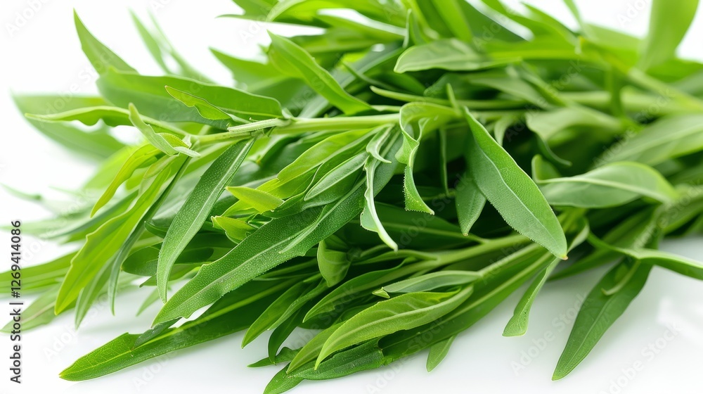 Fresh tarragon leaves display vibrant green colors, often used in culinary dishes for flavor enhancement and garnishing. Fresh tarragon leaves display vibrant green colors, often used in culinary dishes for flavor enhancement and garnishing.