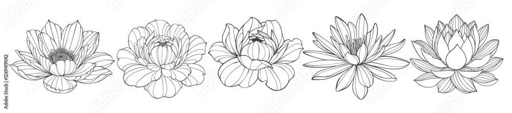 set of flowers. Outline Flower. flower vector drawings. Black and white flower line art on transparent backgrounds. Hand Drawn flower Illustrations.Vector eps set of flowers. Outline Flower. flower vector drawings. Black and white flower line art on transparent backgrounds. Hand Drawn flower Illustrations.Vector eps