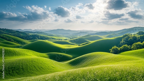 Vibrant wildflower field rolling across green hills under a clear blue sky