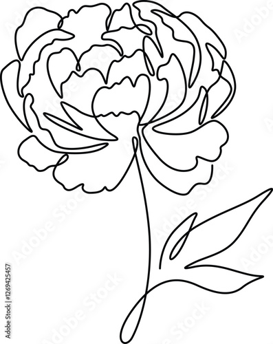 Peony flowers line art drawing elegance continuous linear clipart. 