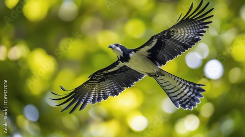 Majestic bird soaring gracefully through a sunlit forest on a clear afternoon