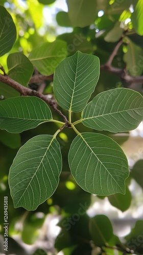 Close view of lush green leaves displaying intricate patterns in a vibrant tr...