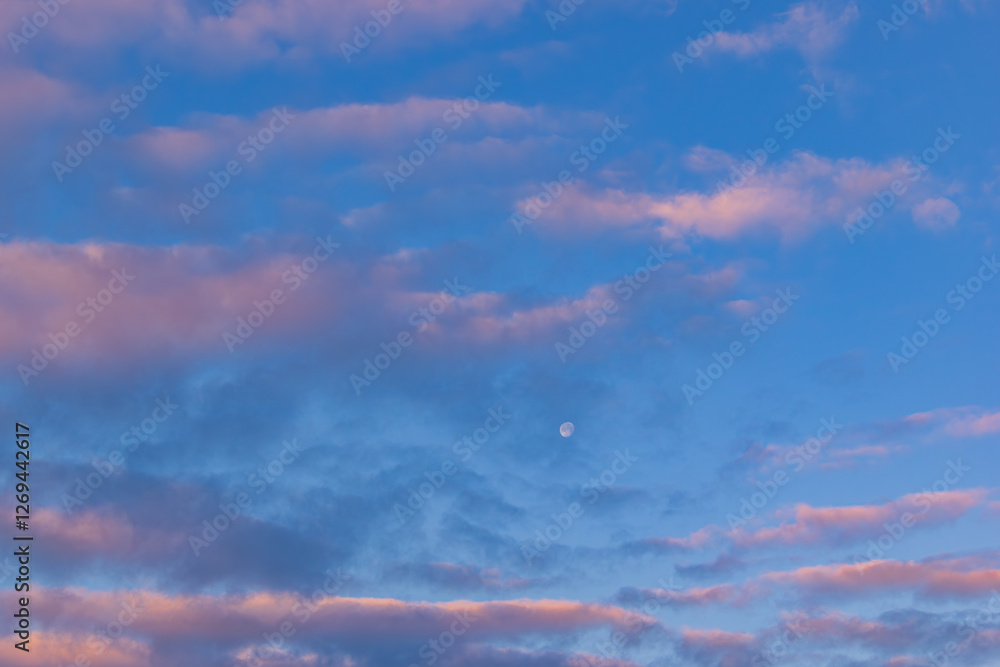 Obraz premium 朝焼けと月