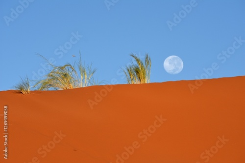 Vollmond über der Elimdüne im Namib-Naukluft-Nationalpark