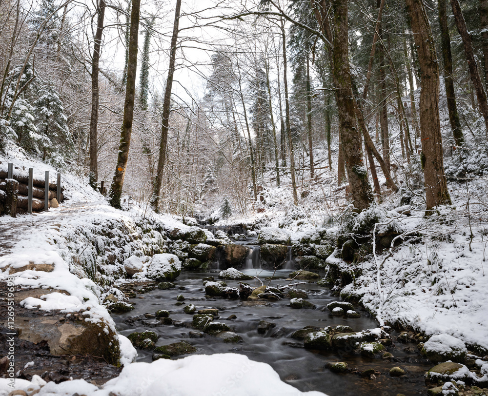 Wasserfälle im Winter
