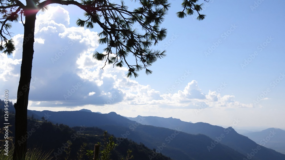 Fototapeta premium Serene Mountain Vista Through Silhouetted Pine Branches