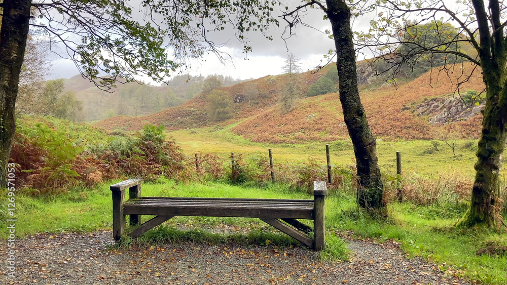 Empty wooden bench between two trees in the Lake District National Park, UK, overlooking a valley on a misty, rainy autumn day - Cumbria, UK Empty wooden bench between two trees in the Lake District National Park, UK, overlooking a valley on a misty, rainy autumn day - Cumbria, UK
