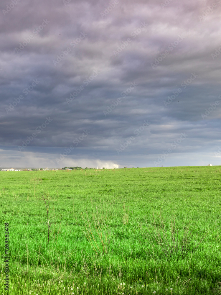 Naklejka premium Field of grass with a storm in the distance