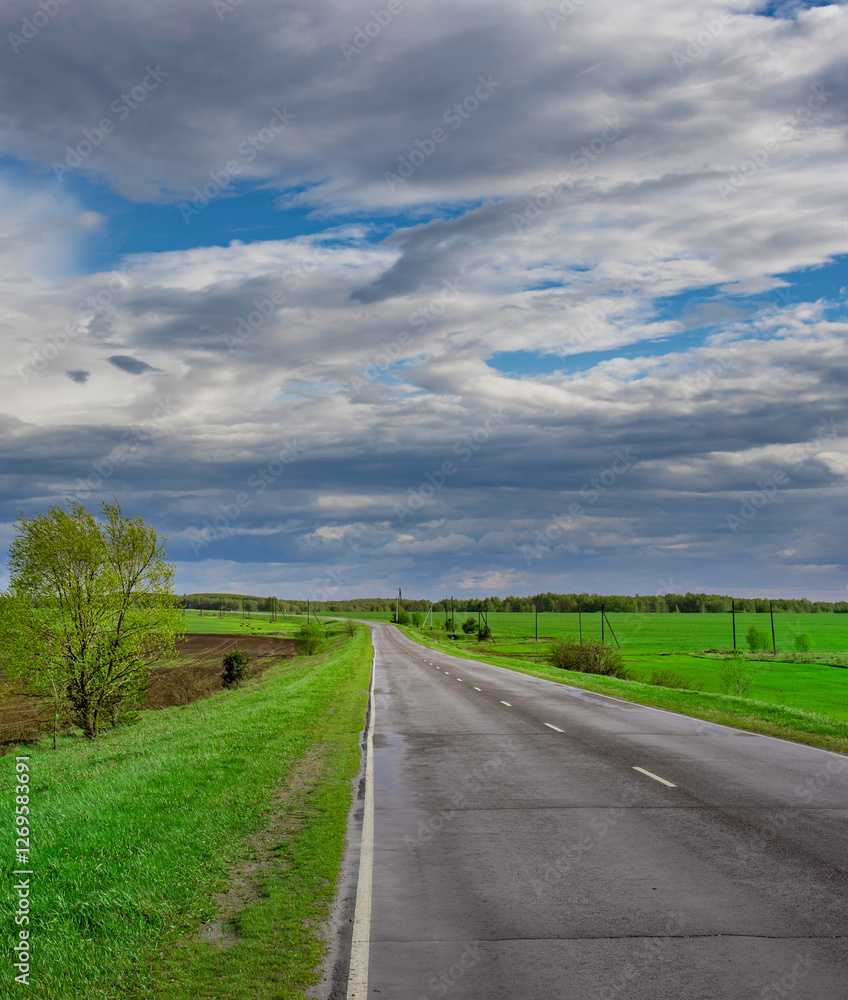 Road with a tree on the side and a cloudy sky Road with a tree on the side and a cloudy sky