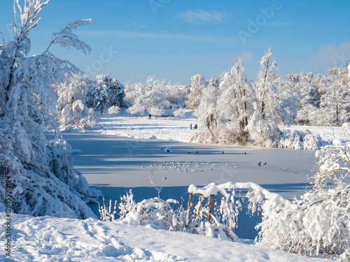 Zurich, Switzerland - December 12th 2023: Irchelpark in winter conditions with frozen lake and deep snow