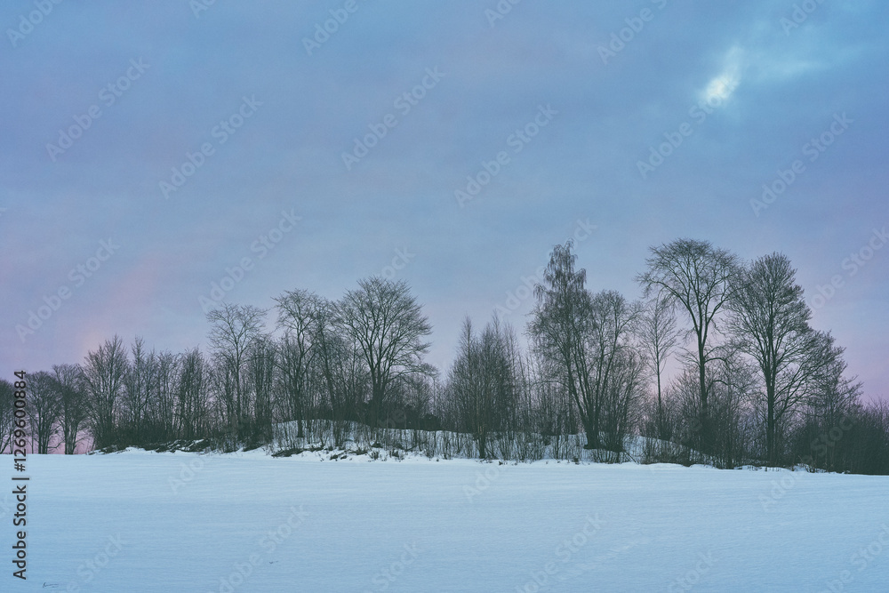 Photography from the cultural landscape of Toten, Norway, a day in February 2025. Photography from the cultural landscape of Toten, Norway, a day in February 2025.