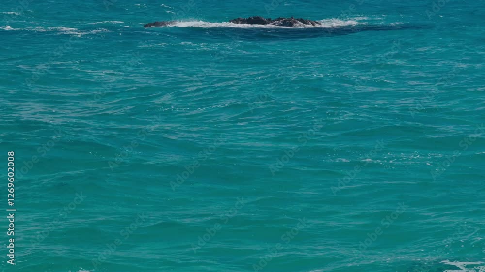 shore and waves, rough sea, waves hitting coastal sand, sea foam, peace from measured movement of sea waves shore and waves, rough sea, waves hitting coastal sand, sea foam, peace from measured movement of sea waves
