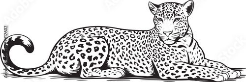 Hand drawn sketch style leopard. Vector illustration isolated on white background.