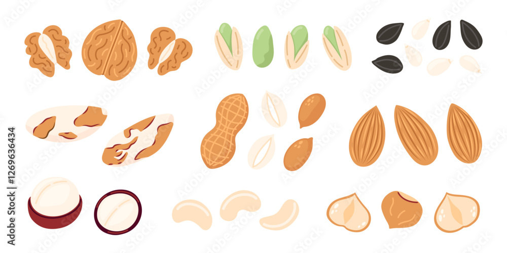 Nuts and seeds set.Walnut, pistachio, sunflower seed, almond, hazelnut, peanuts dry, macadamia. Vegan food ingredients. Vector illustration isolated on white background Nuts and seeds set.Walnut, pistachio, sunflower seed, almond, hazelnut, peanuts dry, macadamia. Vegan food ingredients. Vector illustration isolated on white background