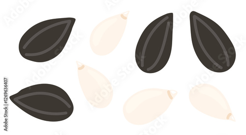 Sunflower seeds. Peeled and in shell grains. Nuts set. Vegan food ingredients. Vector illustration isolated on white background