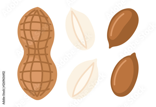 Peanuts. Peeled and unpeeled nuts. Nuts set. Peanut butter ingredient. Vegan food ingredients. Vector illustration isolated on white background