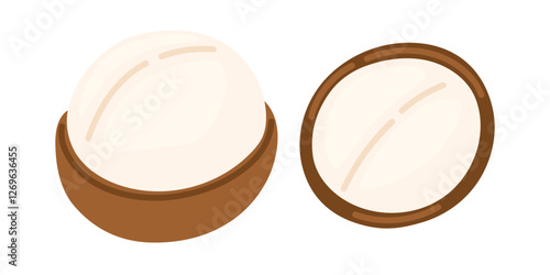 Macadamia nuts. Vegan food ingredients. Vector illustration isolated on white background