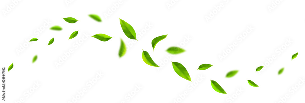 Green leaves waves. Flying green leaves in the air. Fresh mint leaves isolated on white background. Vector illustration. Green leaves waves. Flying green leaves in the air. Fresh mint leaves isolated on white background. Vector illustration.
