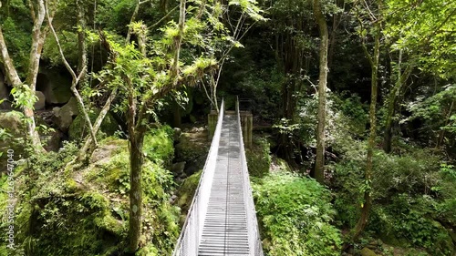 puente colgante sobre el rio en altos del maría en panamá