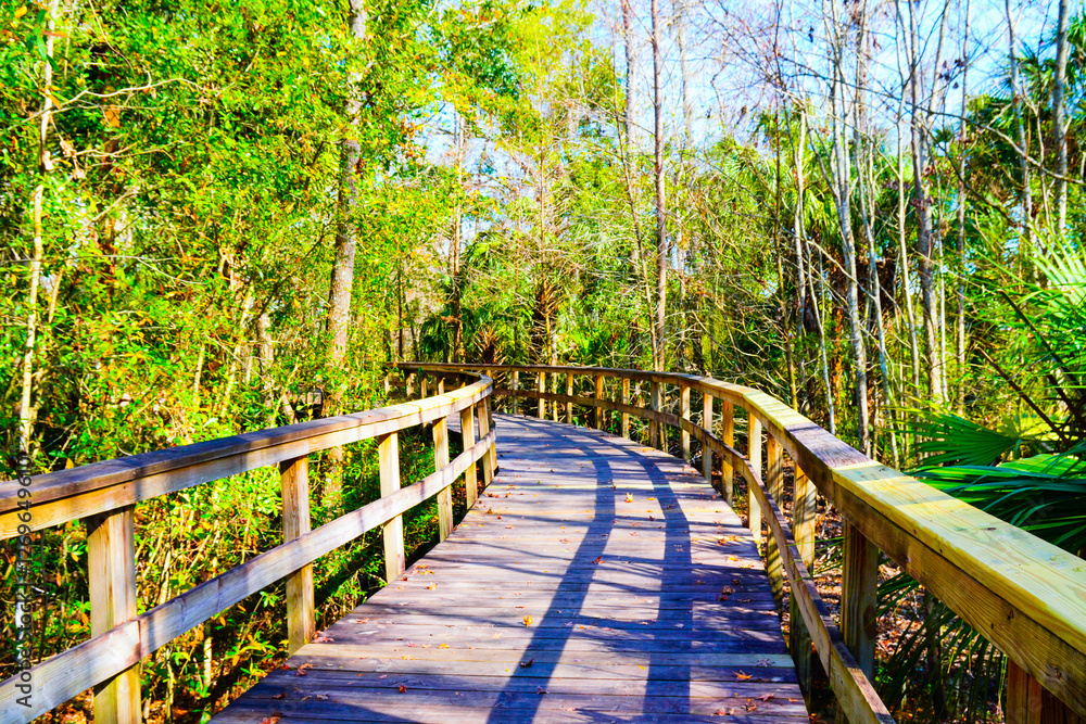 Obraz premium Wesley Chaple, Florida, USA, 12 10 2024: The winter foliage landscape of a beautiful community and trail at Wesley Chapel, north of Tampa in Florida