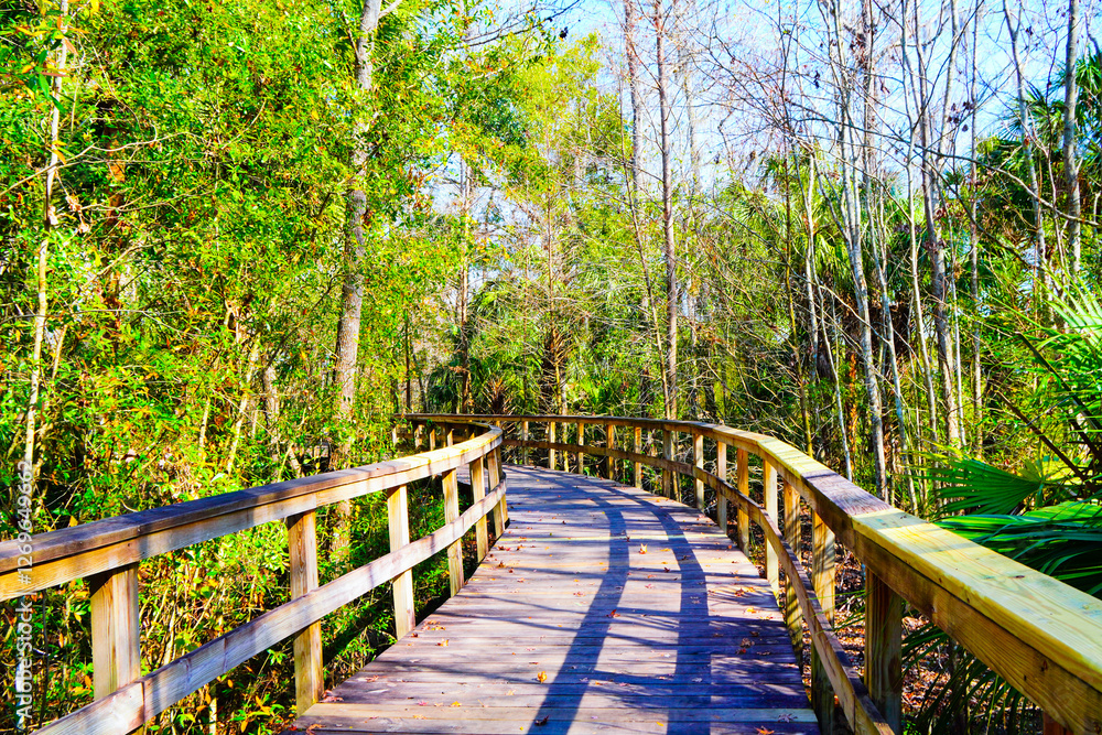 Wesley Chaple, Florida, USA, 12 10 2024: The winter foliage landscape of a beautiful community and trail at Wesley Chapel, north of Tampa in Florida Wesley Chaple, Florida, USA, 12 10 2024: The winter foliage landscape of a beautiful community and trail at Wesley Chapel, north of Tampa in Florida