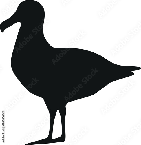 Seagull arctic bird black-and-white vector illustration