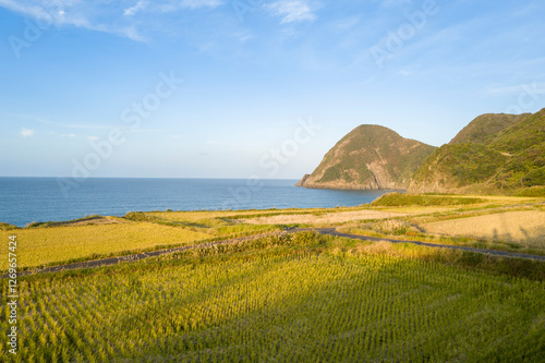 Εκτύπωση καμβά The coast with rice fields and mountains