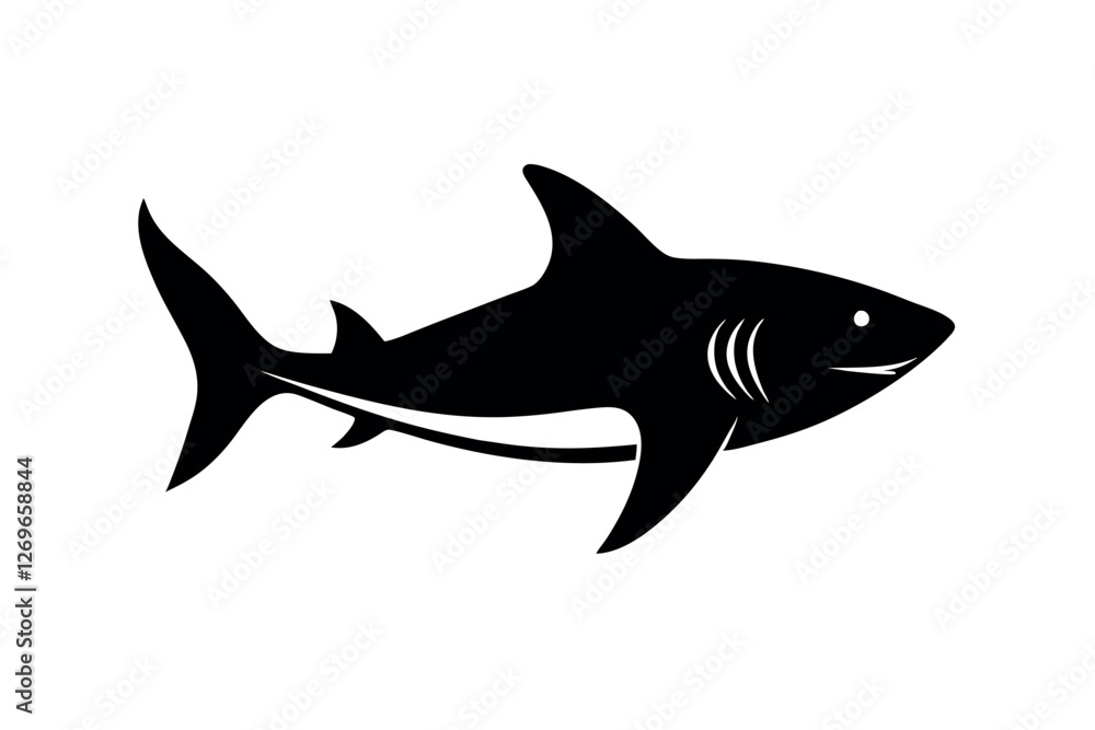 Obraz premium shark vector illustration