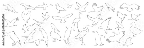 Set of vector bird silhouettes, black line silhouettes of birds on white background, illustration of flying, sitting birds, suitable for nature, wildlife design