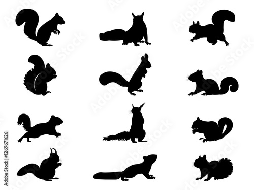 Set of Squirrel Silhouette in various poses isolated on white background