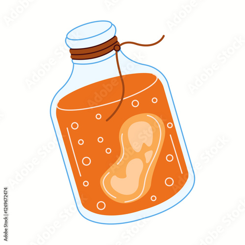 Illustration of a transparent glass jar filled with kombucha and scoby, representing the fermentation process of this probiotic drink.